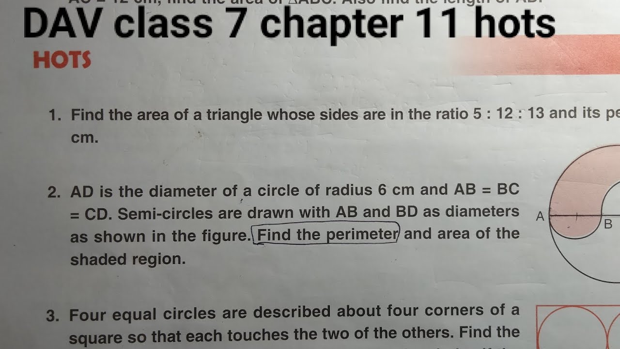 dav class 7 maths chapter 11 hots solutions
