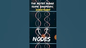 why are there 12 notes in an octave??