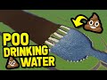 TURNING POOP WATER INTO DRINKING WATER in CITIES SKYLINES