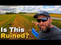 It Rained on Our Hay... Now What?