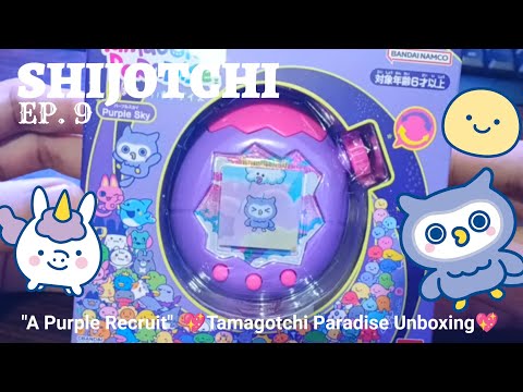 SHIJOTCHI Ep.9 