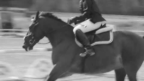 ◄ тʀᴀιʟᴇʀ ►