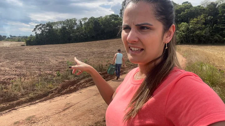 Batatas do vizinho e festa de Igreja na Lapa