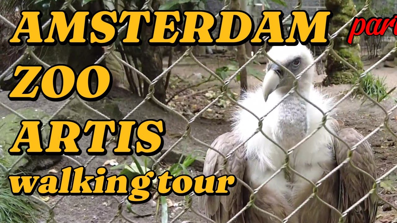 🇳🇱 ARTIS ZOO AMSTERDAM - WALKING TOUR | 4H UHD | part 2