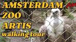 ARTIS ZOO AMSTERDAM - WALKING TOUR | 4H UHD | part 2 - YouTube