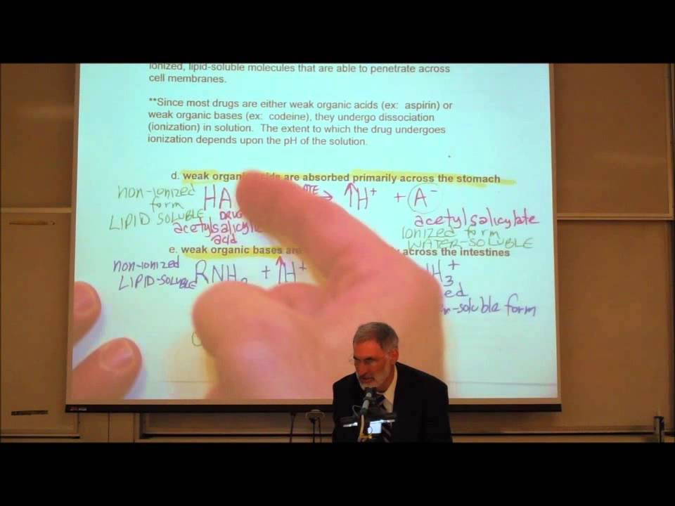 PHARMACOKINETICS; Absorption & Distribution of Drugs by Professor Fink