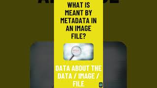 Metadata