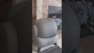 Smart Cat Litter #shorts #v=KByV_F9A4TA