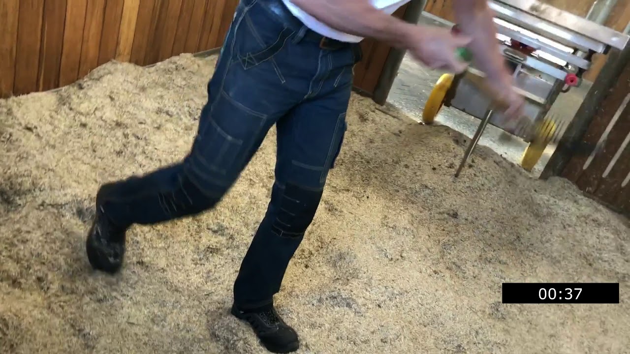 BeddingMaster Vlas Dag 2