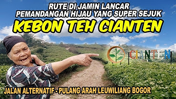 Rute Menuju KEBUN TEH CIANTEN - LEUWILIANG BOGOR