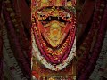 Jai shree jeen mata ji  navratrispecial sherowali love