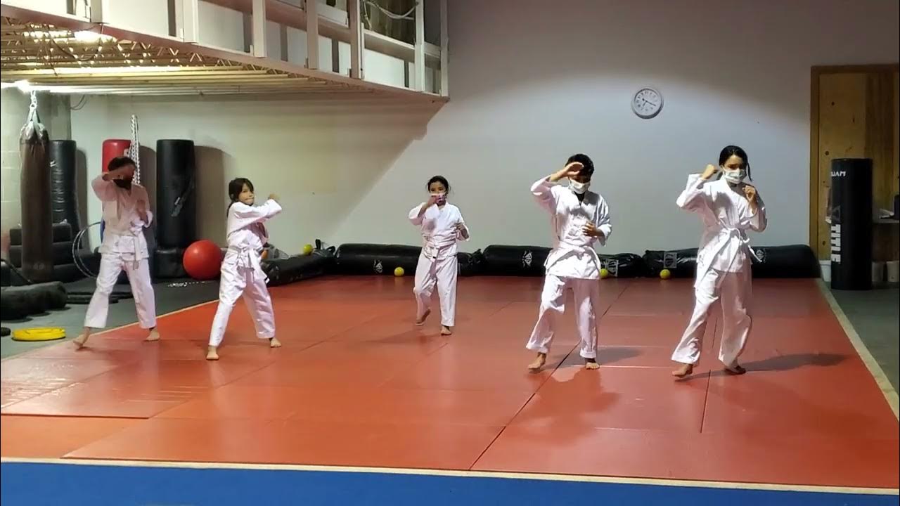 Kenpo Karate KidsKnife Hand Block and Reverse Punch YouTube