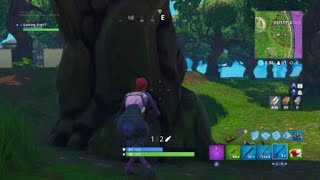 Nice Hunting Rifle Shot