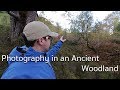 Photography in an Ancient Woodland - Woodland Photography Tips and Ideas