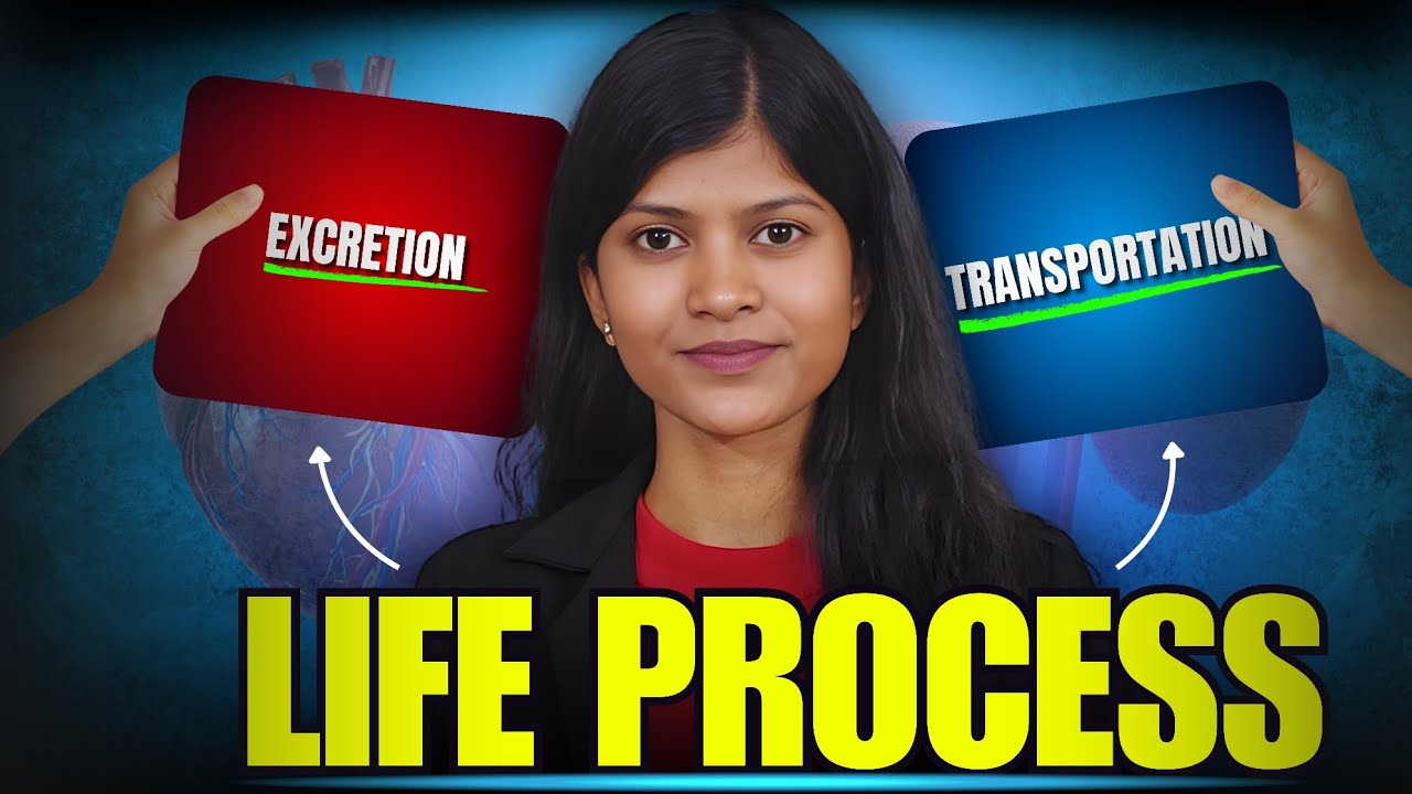 Master Life Processes in Minutes | Transportation & Excretion | Class 10