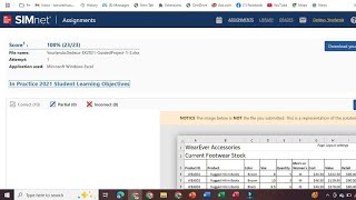 In Practice Excel 365 Application Capstone Project 2 | Help in 2024 chapter 2
