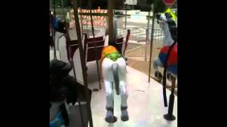 Riding the carousel at the Lagrange fair 2