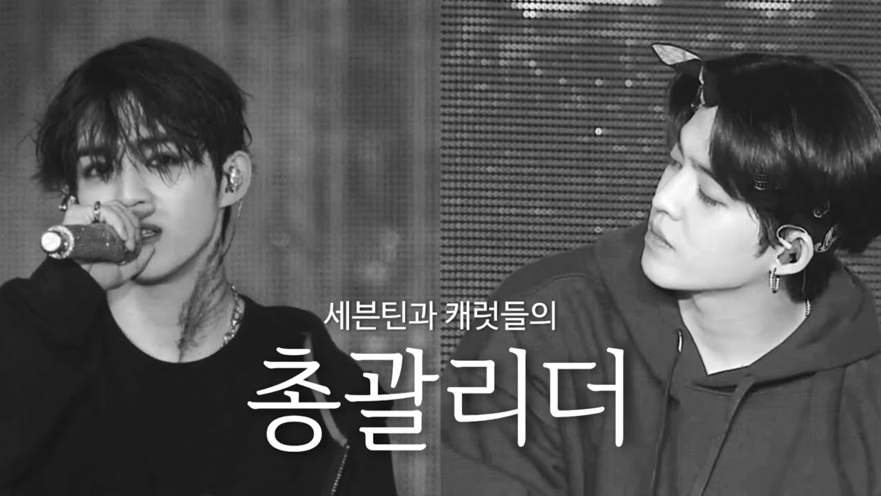 세븐틴/에스쿱스 🍒 세븐틴과 캐럿들의 자랑스러운 총괄리더