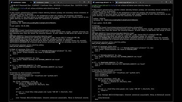 Solana validator auto swap identity