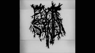 Book of Sand - No Flags