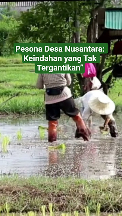'Pesona Desa Nusantara: Keindahan yang Tak Tergantikan”