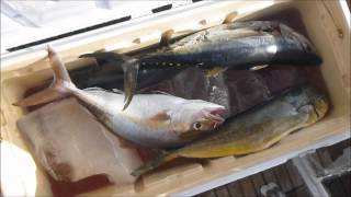 Fishing Adventures #82 - Jigging Trolling Tuna Mahi Amberjack Trevally - South China Oil Rig Platfom