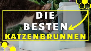 Katzenbrunnen TEST (2024)  Die 3 besten Trinkbrunnen im großen VERGLEICH!