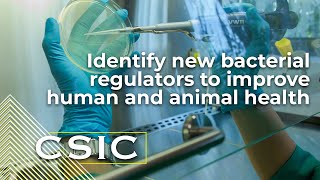 Identify New Bacterial Regulators To Improve Human And Animal Health