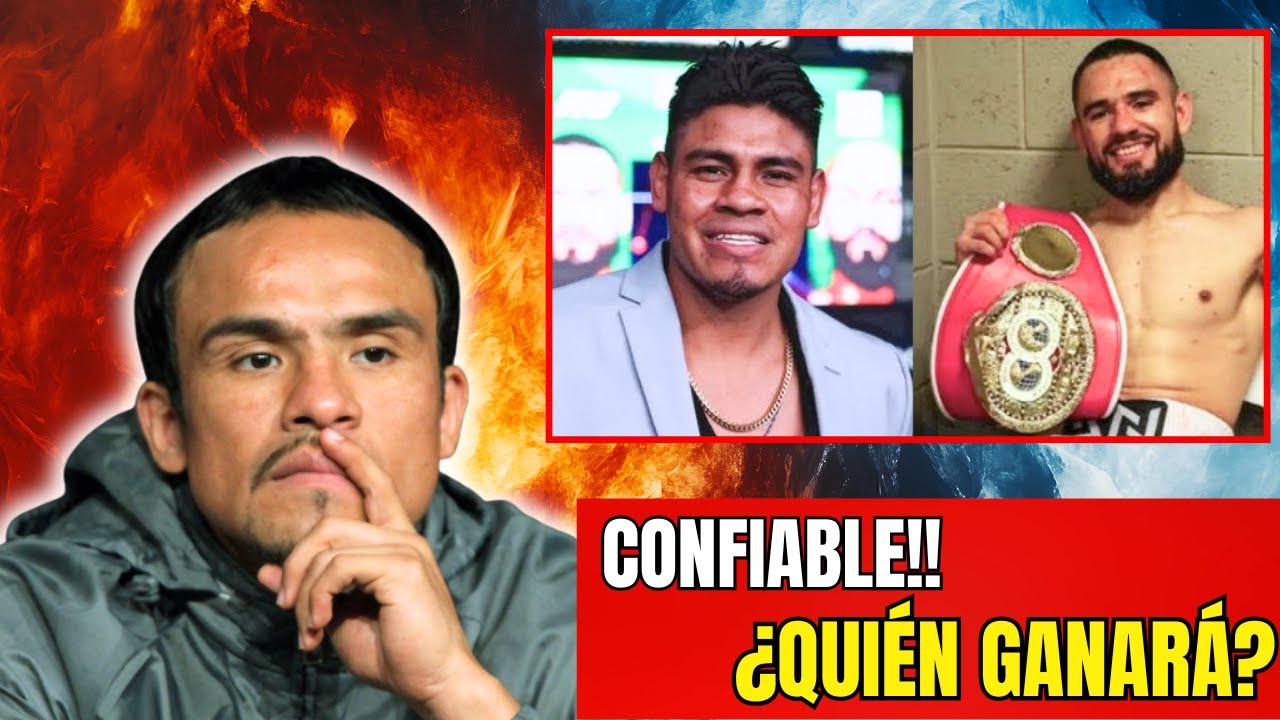 🔥Predicción que sacude el boxeo: JUAN MANUEL MÁRQUEZ revela quién ganará Navarrete vs Sugar Nuñez