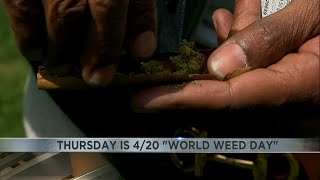is World weed day