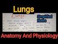 Notes Of Lungs (Respiratory System) in Anatomy And Physiology in Hindi .