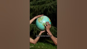 🚨 #PaxSnax | Your Weekly Crypto Recap 🗞️