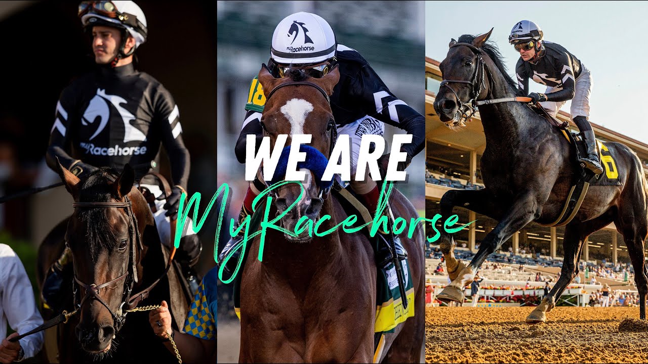 We Are Racehorse Ownership