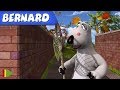 Bernard bear  el perrito y ms  dibujos animados para nios