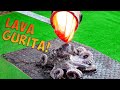 EKSPERIMEN: Gurita Masak Dengan Lava, Minyak Panas!