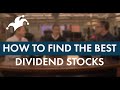 Dividend Investing 101 - How to Find the Best Dividend Stocks