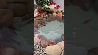 Gostaria De Ter Um Laguinho Como Esse?? Compre Conosco 47 991730843 Que Ensinamos Você A Fazer