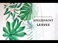 Botanical illustration | 1 minute Speedpaint | Leaves