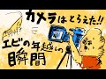 カメラはとらえた‼︎エビ!年越しの瞬間‼︎