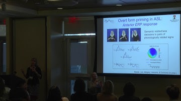 ERP Evidence for implicit activation of ASL in deaf bimodal bilinguals