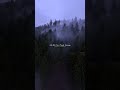 Feel this song #song #songs2024 #shorts
