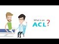 Acl surgery in india  anterior cruciate ligament