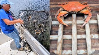 How to Build a Crab Steaming Rack Catch & Cook