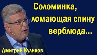 Coлoминкa, лoмaющaя cпину вepблюдa... (политика)