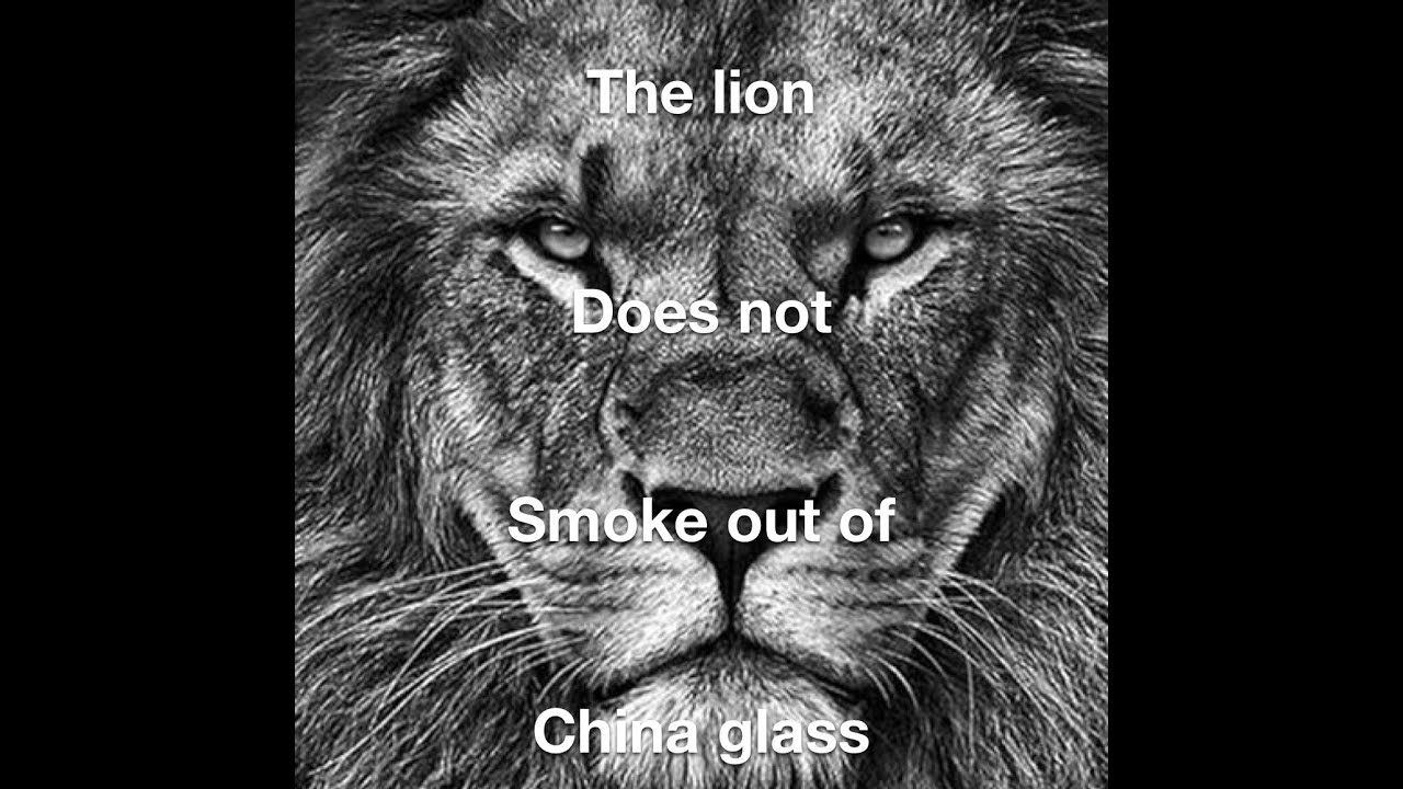 1 Year Anniversary Hash Flight at the Artist Tree