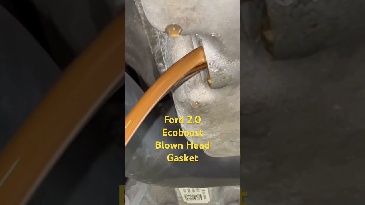 Coolant Oil Intermix Ford 2.0 Ecoboost Due to Leaking Head Gasket