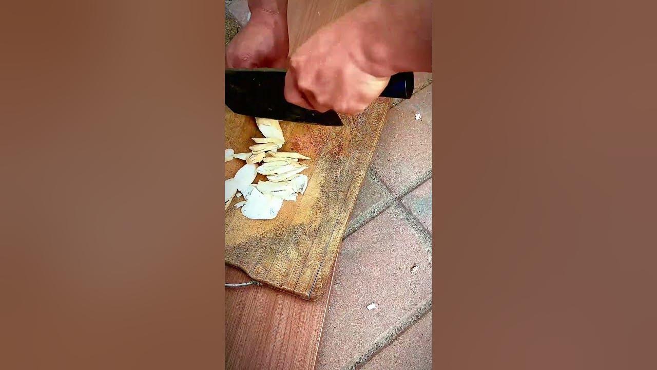 sliced cassava harvest #shorts sliced cassava harvest #shorts