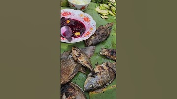 Cá Rô Phi Nướng Chấm Muối Ớt Trái Giác #short #tiêngiangtv #ẩmthựcmiềntây