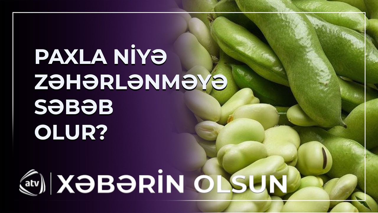 Paxla bitkisi niyə bəzi insanları xəstəxanalıq edir? / Xəbərin olsun ...
