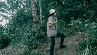 Fiersa Besari - Selindung (Cover)
